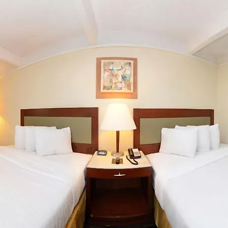 Lexington Inn & Suites-Elgin-3
